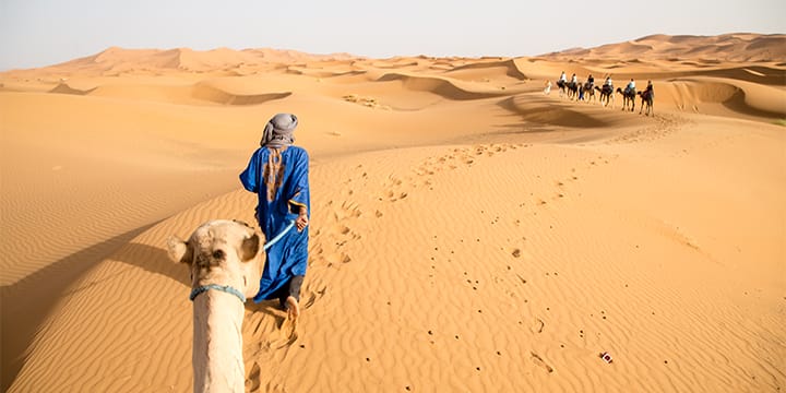 morocco local tour operators